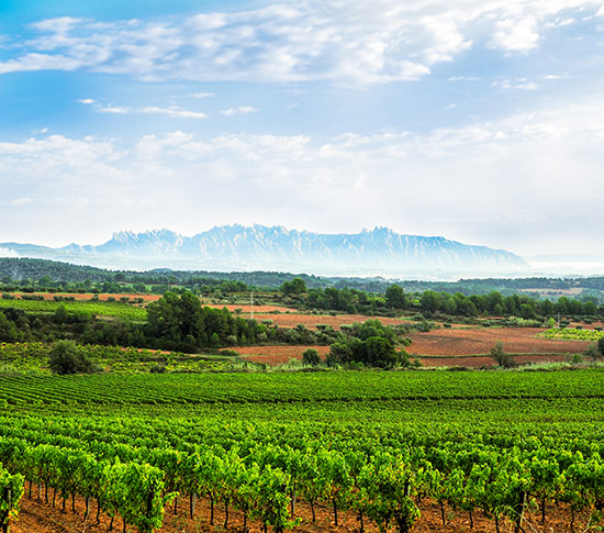El Penedès